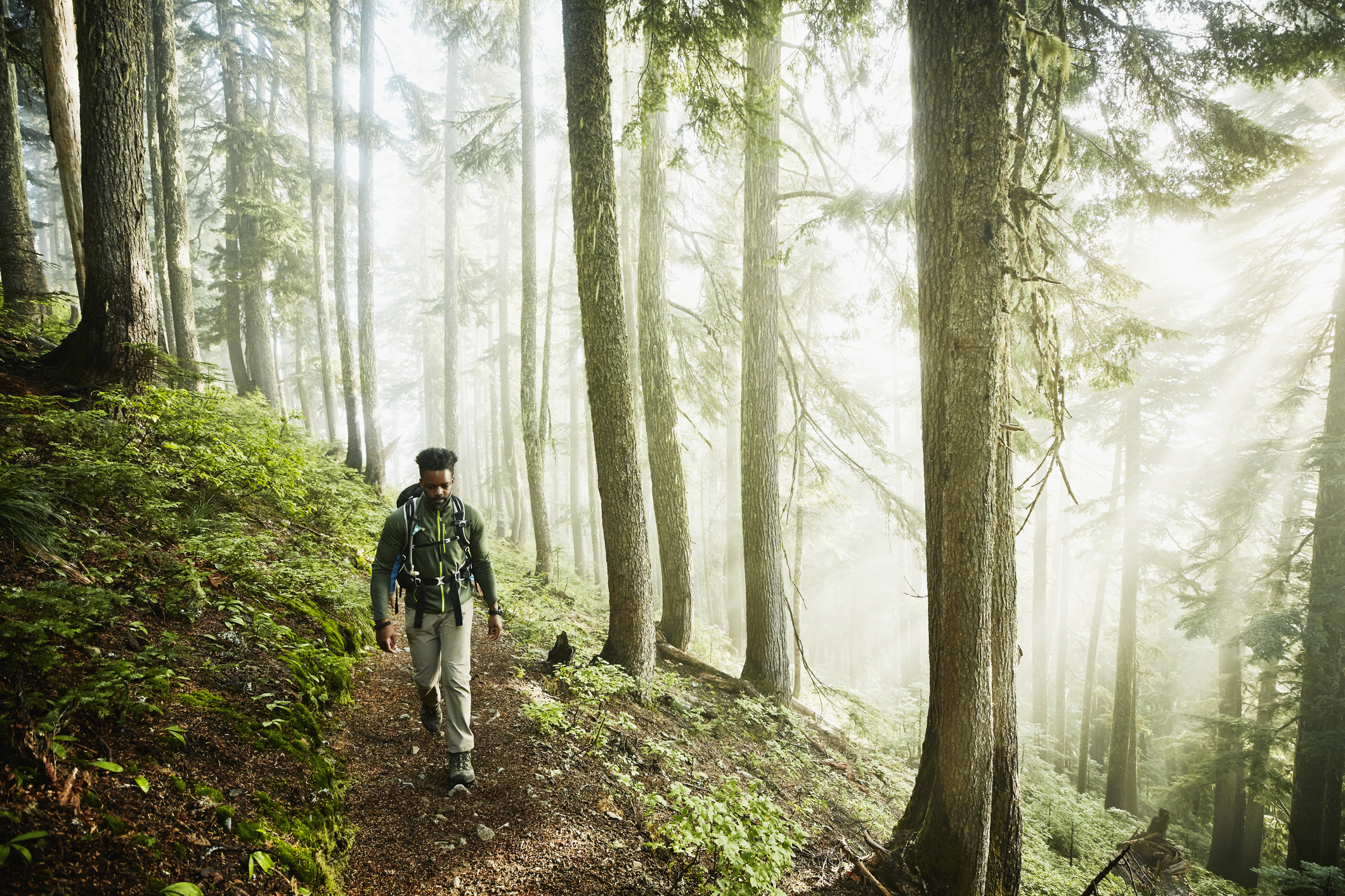 Man hiking along trial in forest on foggy morning.